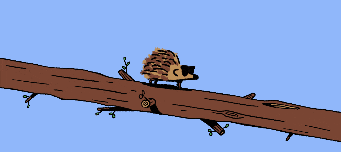 Hedgehog_03_1-1